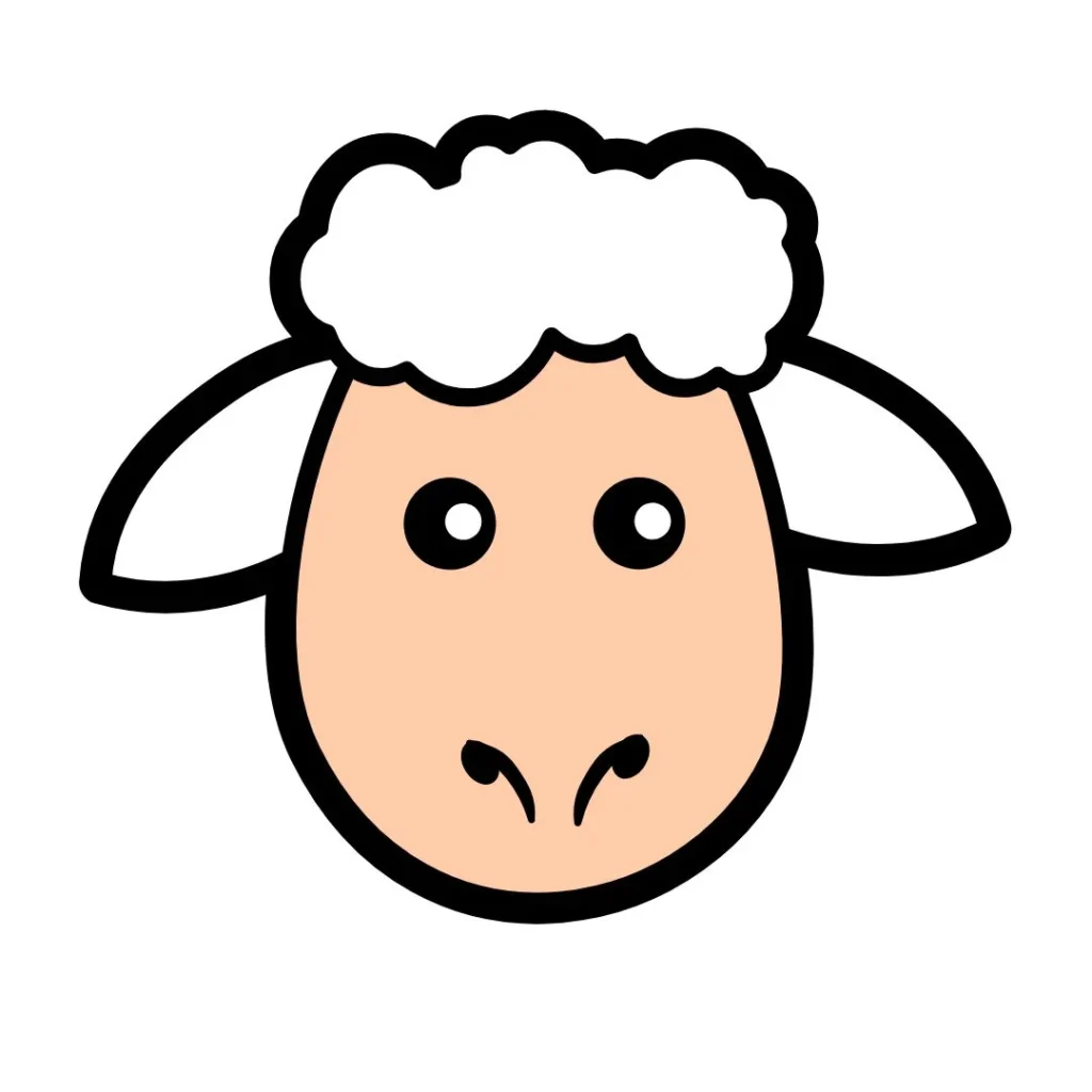 Pack mouton 5 pattes
